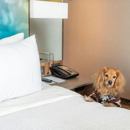 Courtyard By Marriott Mexico City Vallejo Экстерьер фото